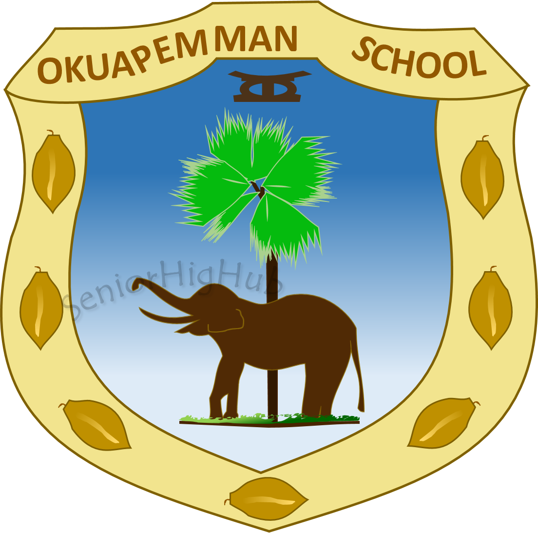 OkuapemaN SHS