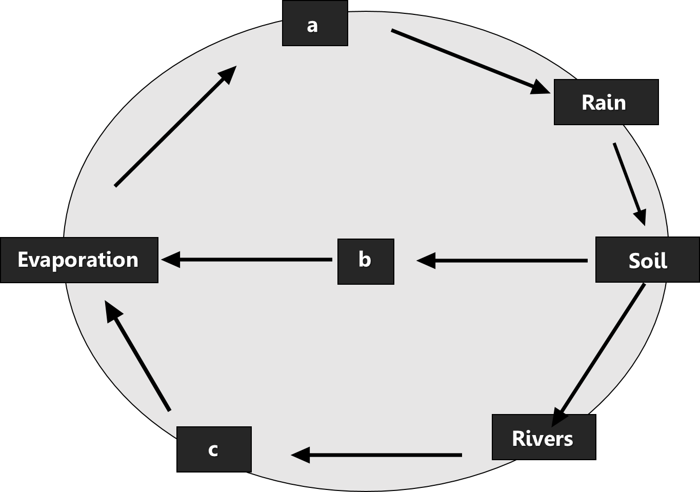 Water Cycle